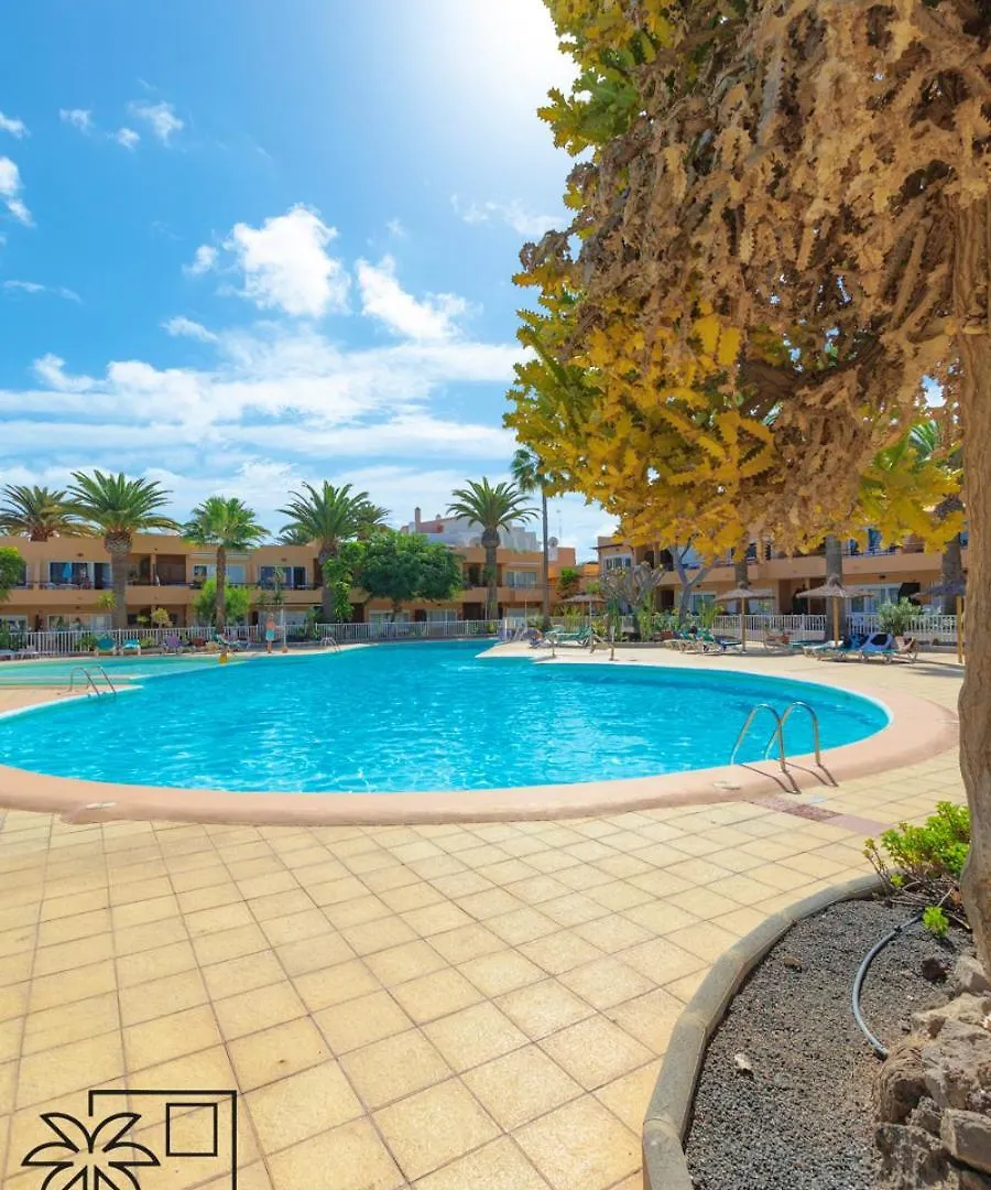 Apartment Ferienwohnung Hola Bent Pool And Terrace Irent Fuerteventura Corralejo
