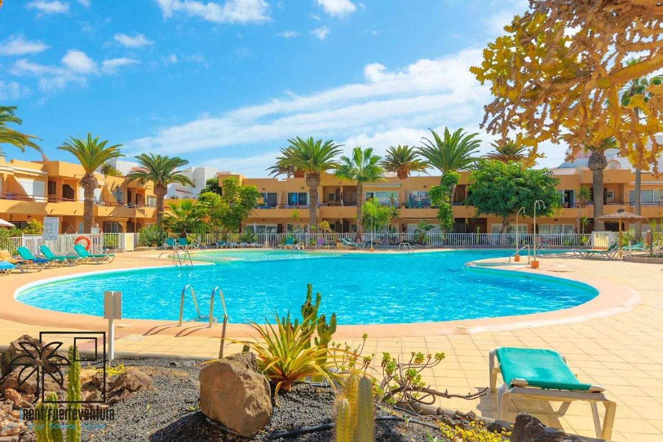 Apartment Ferienwohnung Hola Bent Pool And Terrace Irent Fuerteventura Corralejo